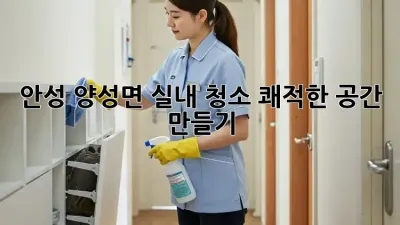 안성 양성면 실내 청소, 쾌적한 공간 만들기
